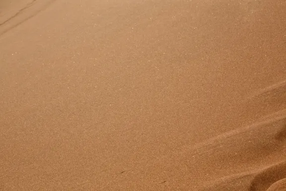 カジノ ビンゴ ミリオネア サポート